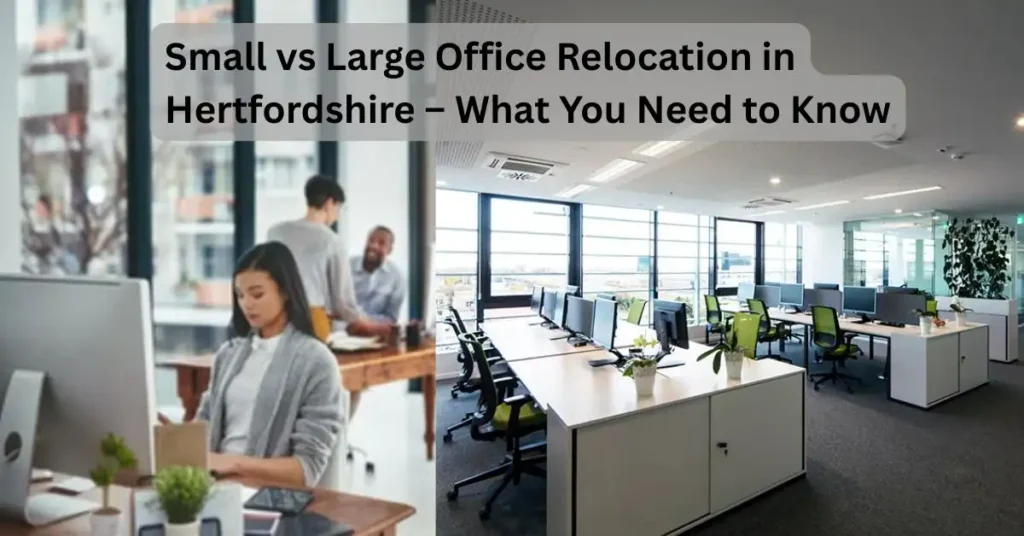 Small vs Large Office Relocation in Hertfordshire